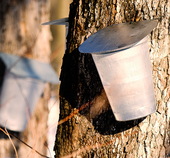 Le Saint-Denisien - Avril 2026